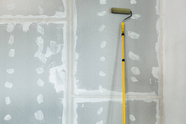 Best Mold Odor Removal Services  in Baltic, SD