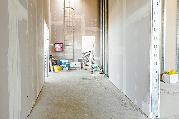 Best Basement Mold Removal  in Baltic, SD